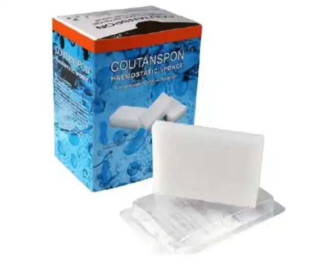 absorbable gelatin sponge absorbable gelatin sponge