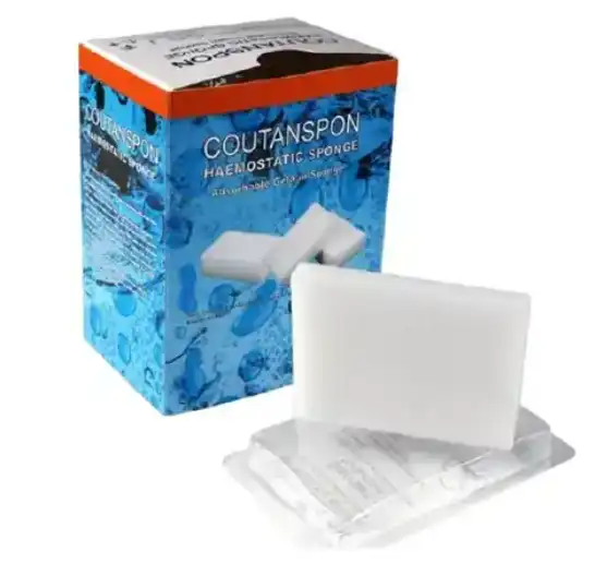 absorbable gelatin sponge absorbable gelatin sponge